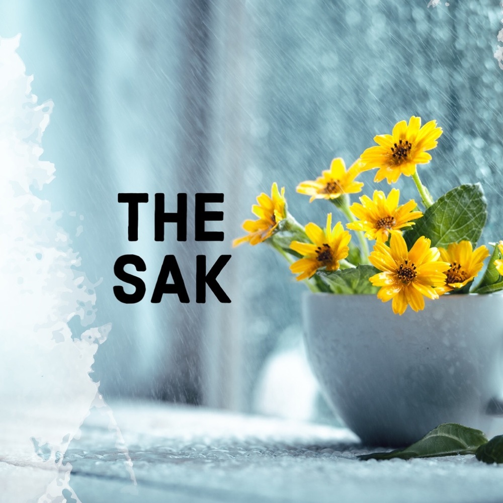 ALL REASONABLE OFFERS WELCOME!